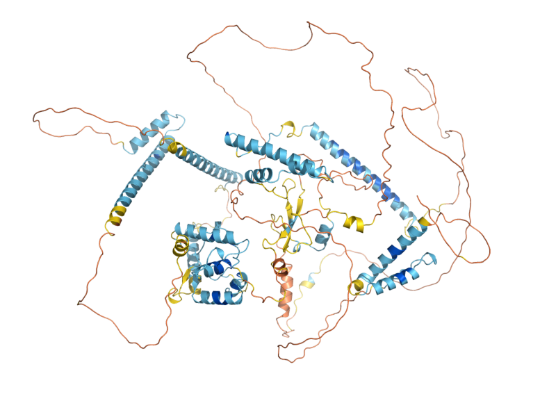 AlphaFold predicted structure of EAF1
