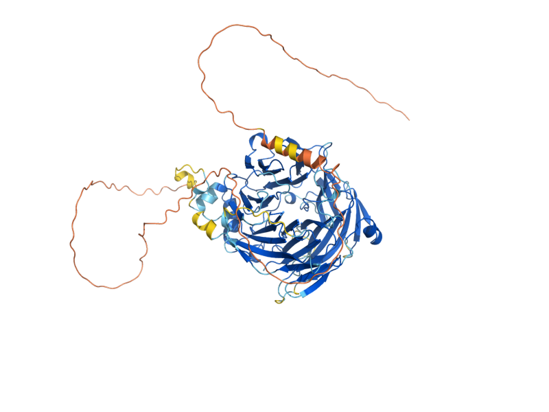 AlphaFold predicted structure of TFC6