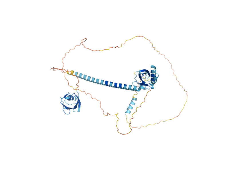 AlphaFold predicted structure of ESC2