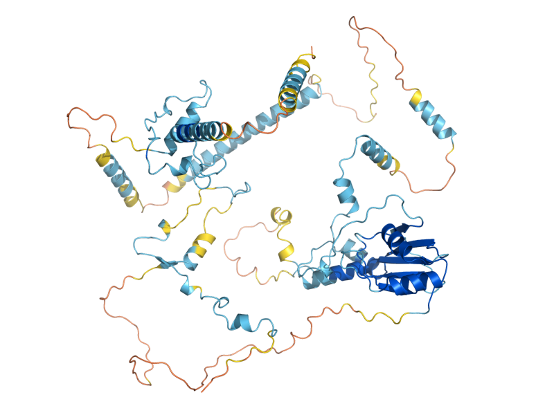 AlphaFold predicted structure of ESF1