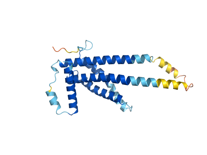 AlphaFold predicted structure of KEI1