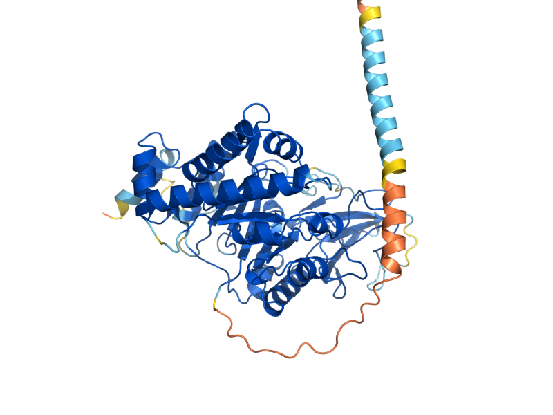 AlphaFold predicted structure of CTS2