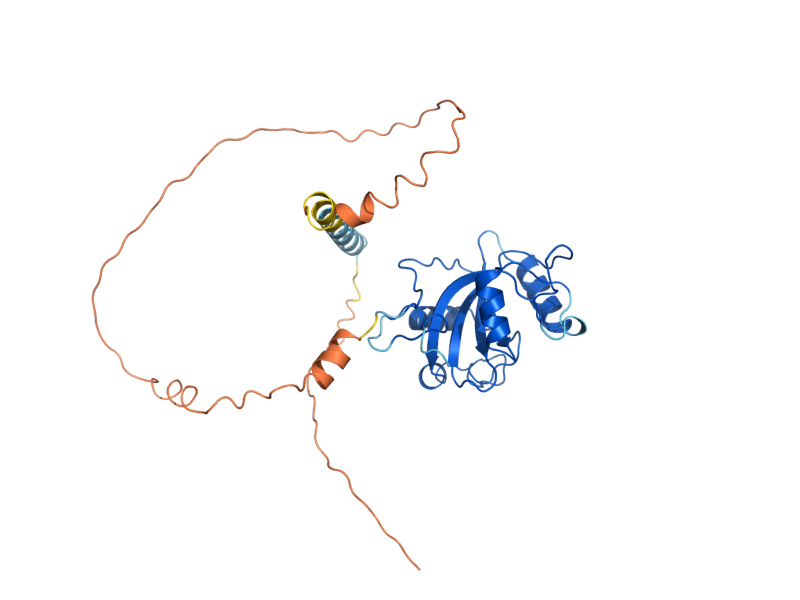 AlphaFold predicted structure of PHO92