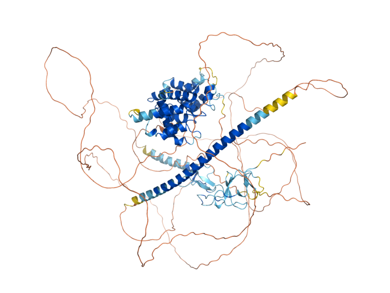 AlphaFold predicted structure of RGA2