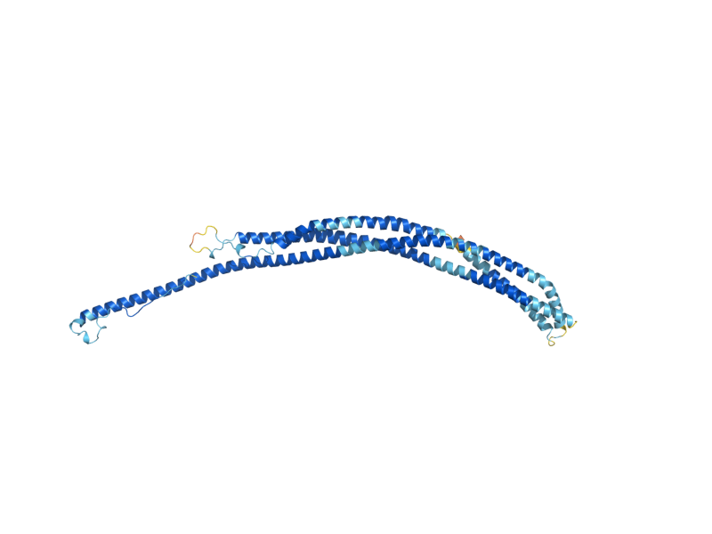 AlphaFold predicted structure of ATG17