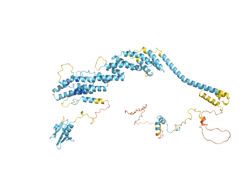 AlphaFold predicted structure of SPP382