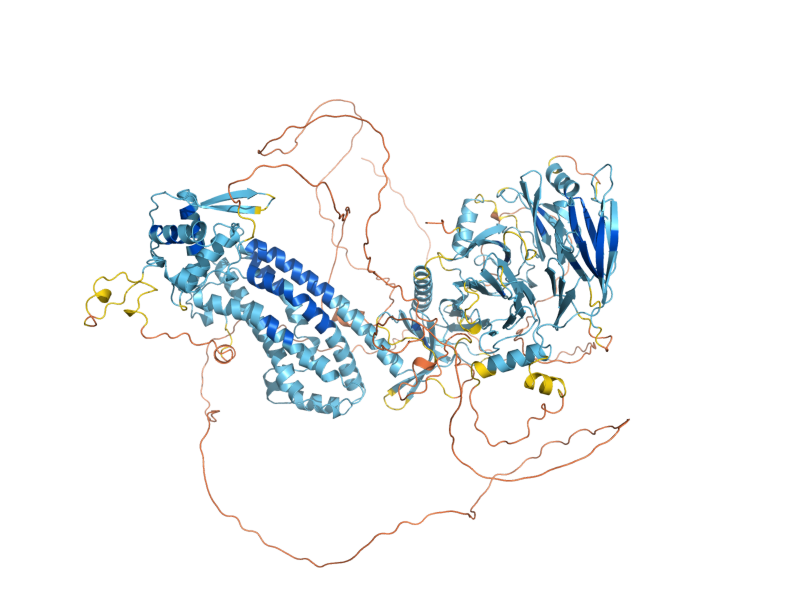 AlphaFold predicted structure of TUS1