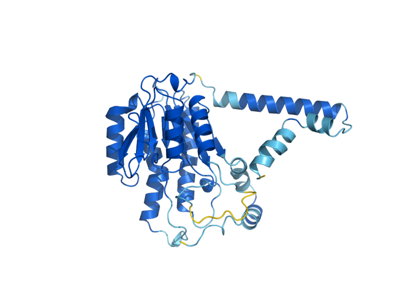 AlphaFold predicted structure of TDA5