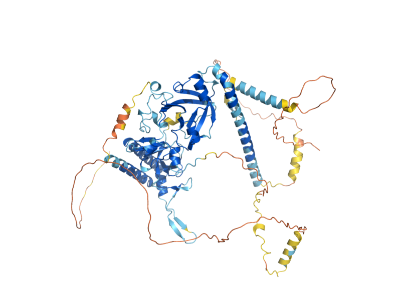 AlphaFold predicted structure of MAG2
