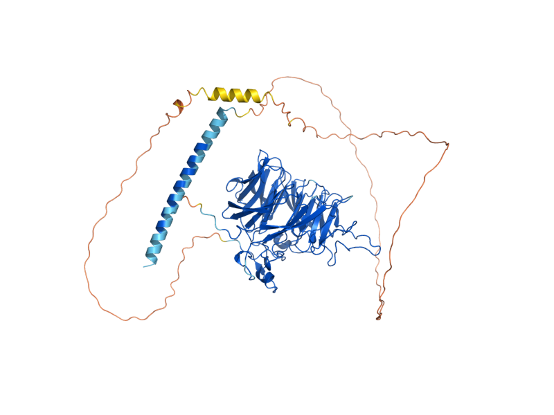 AlphaFold predicted structure of CRN1