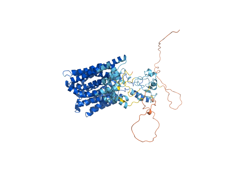 AlphaFold predicted structure of TPO3