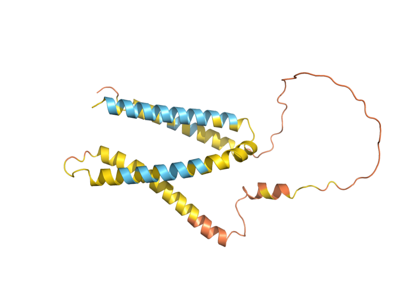 AlphaFold predicted structure of ATG33
