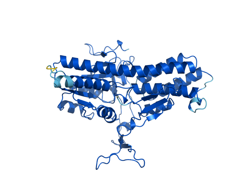 AlphaFold predicted structure of MRI1