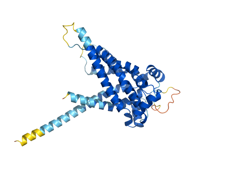 AlphaFold predicted structure of ANT1