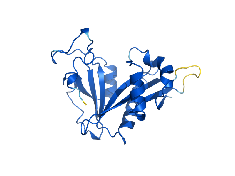 AlphaFold predicted structure of NAT3