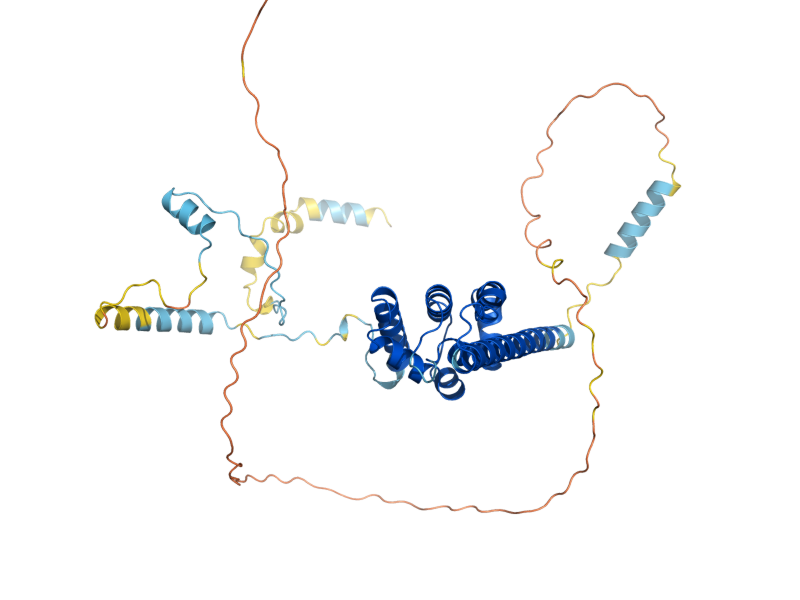 AlphaFold predicted structure of SPN1