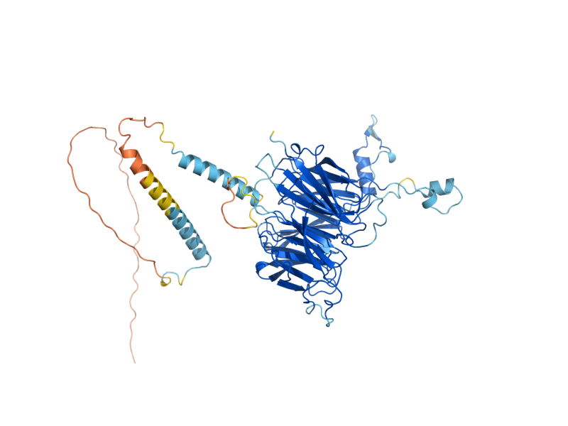 AlphaFold predicted structure of RRP9