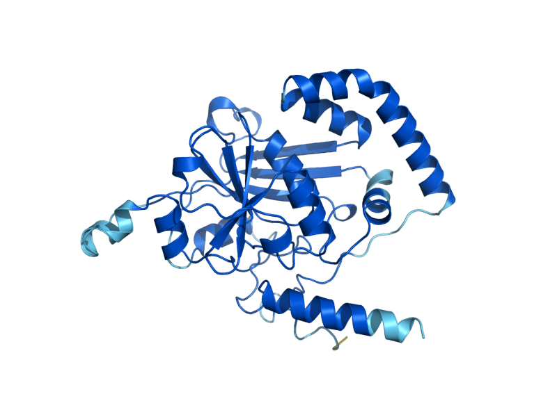 AlphaFold predicted structure of LOA1