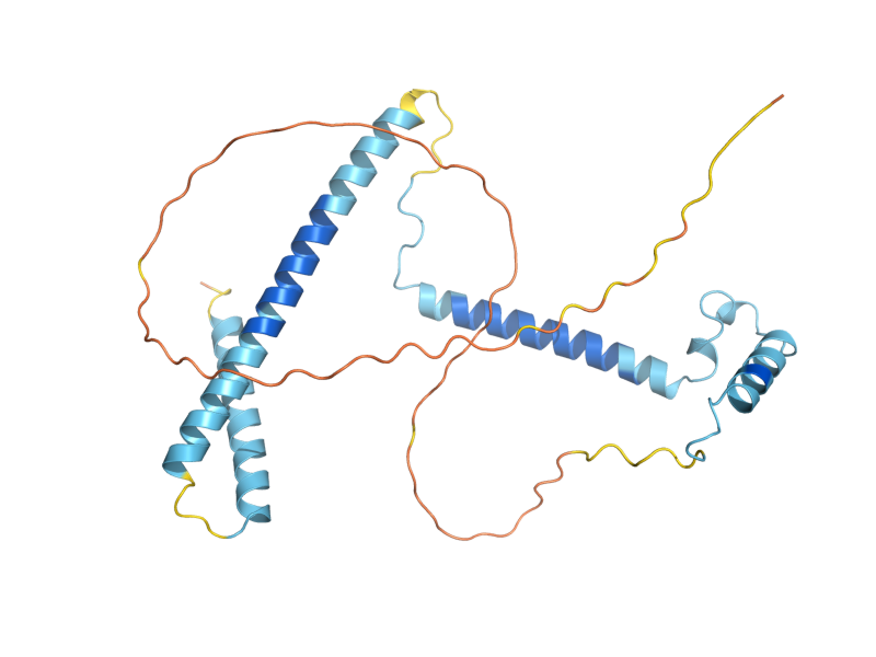 AlphaFold predicted structure of RRP15