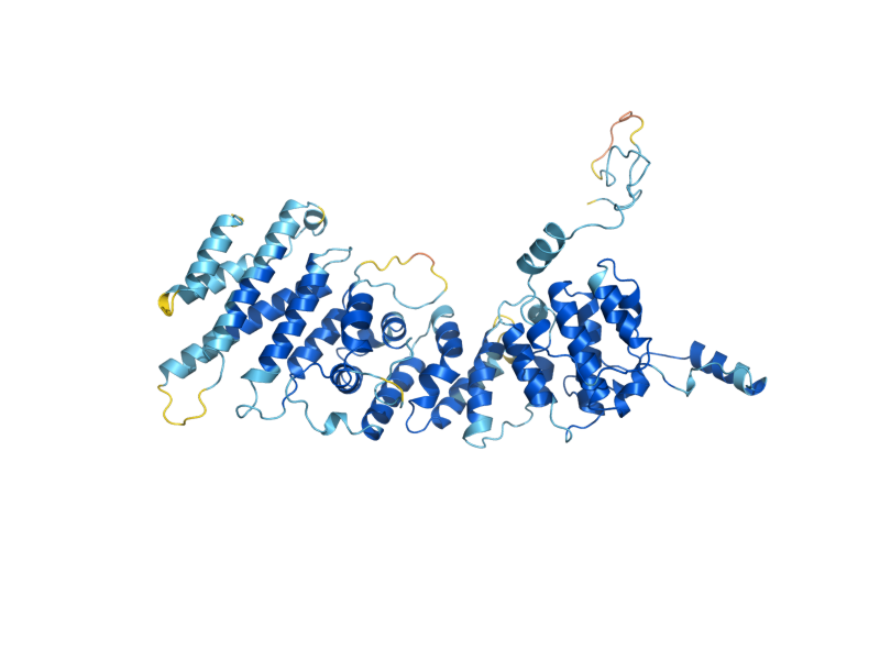 AlphaFold predicted structure of NOC4