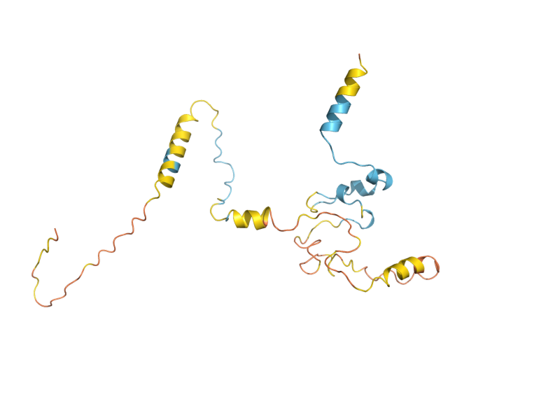 AlphaFold predicted structure of SUE1