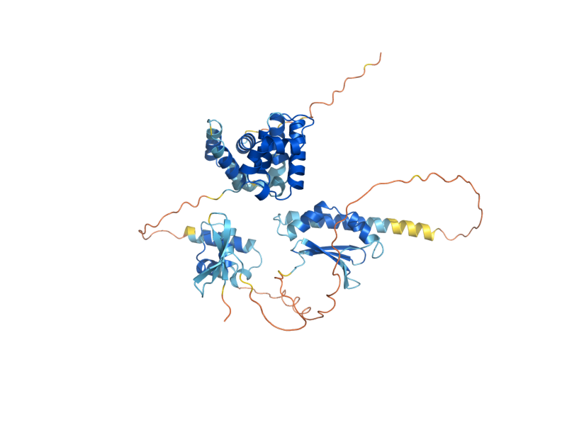 AlphaFold predicted structure of URN1
