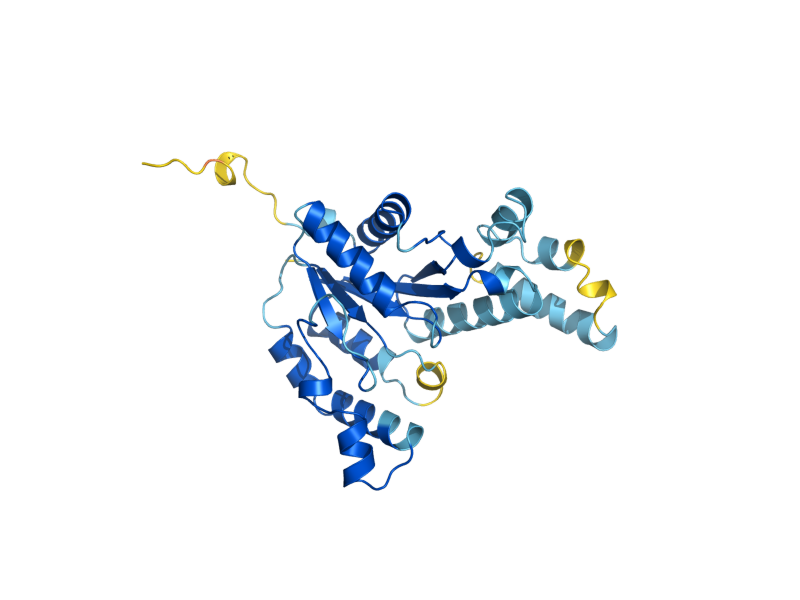 AlphaFold predicted structure of GPN3
