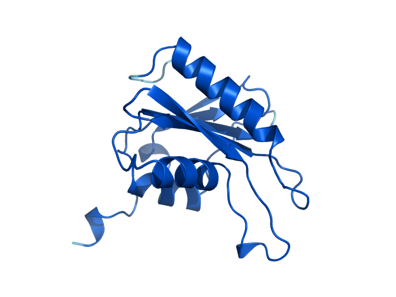 AlphaFold predicted structure of CDD1