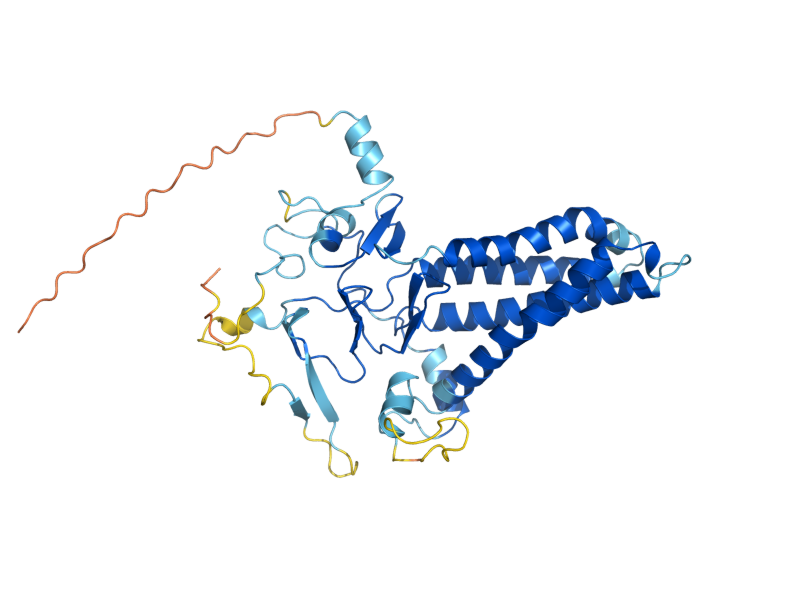 AlphaFold predicted structure of ERF2