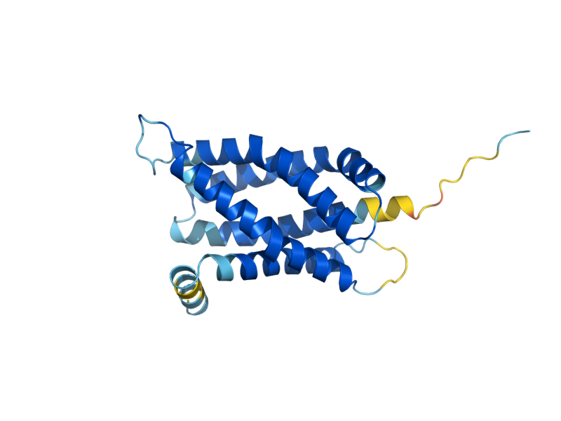 AlphaFold predicted structure of SYM1