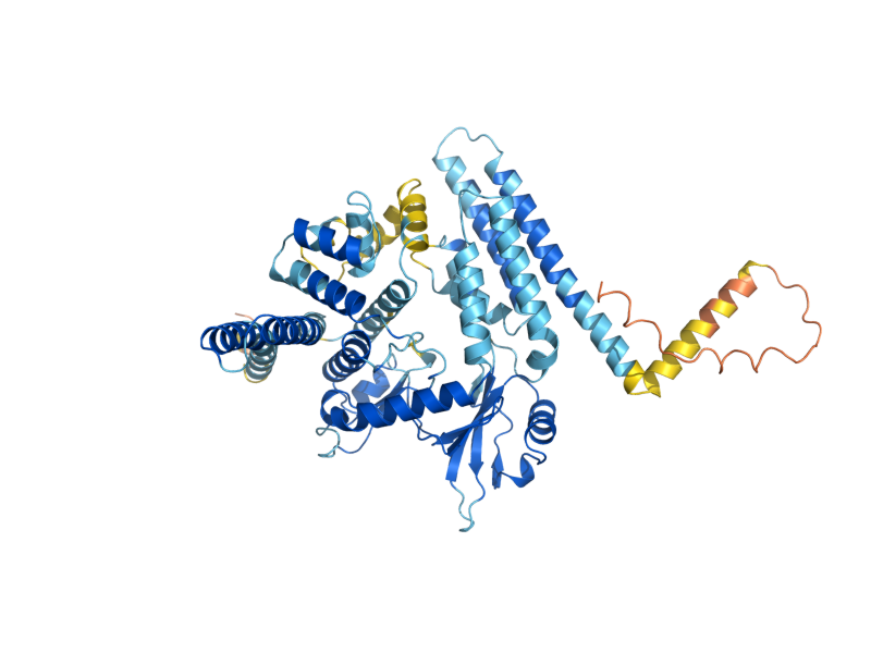 AlphaFold predicted structure of CQD2