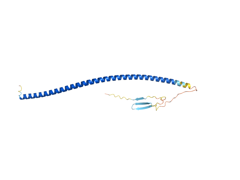 AlphaFold predicted structure of NDL1
