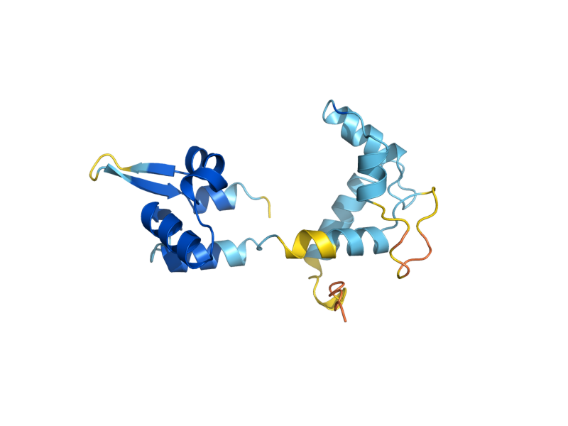 AlphaFold predicted structure of MLC2