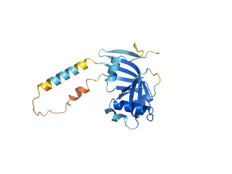 AlphaFold predicted structure of YPR172W