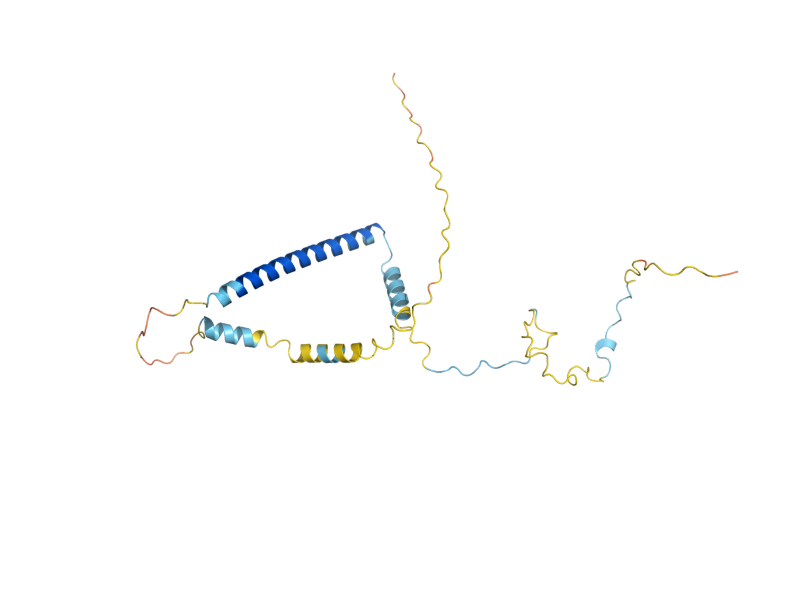 AlphaFold predicted structure of CSA1