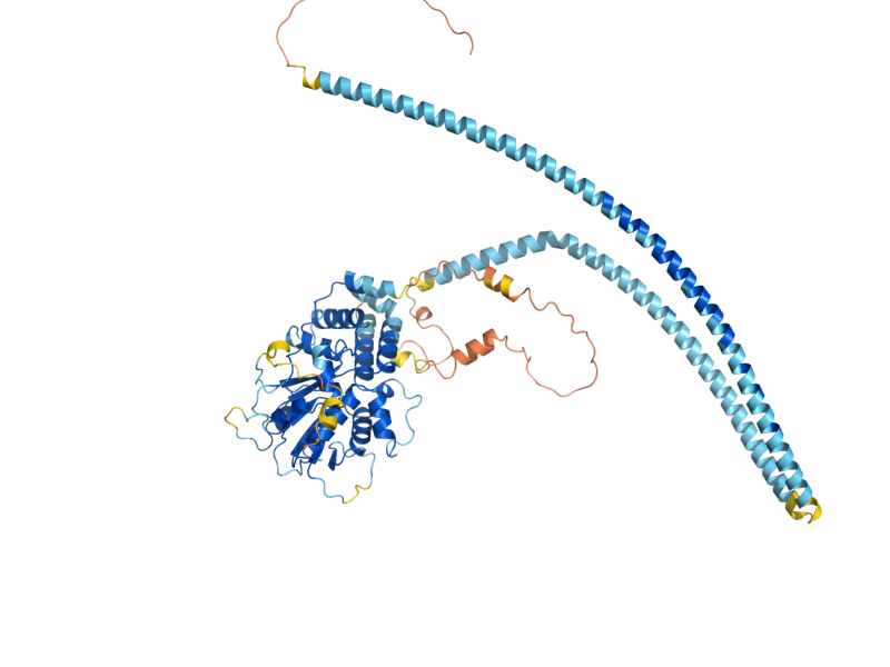 AlphaFold predicted structure of HDA3