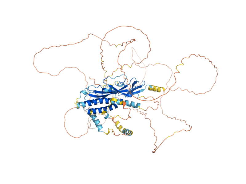 AlphaFold predicted structure of ATG13