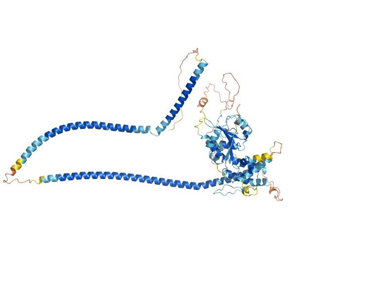 AlphaFold predicted structure of HDA2