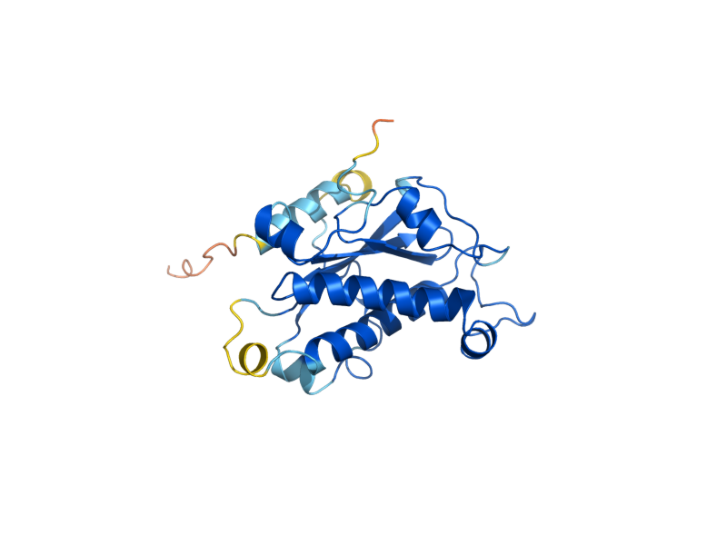 AlphaFold predicted structure of MHR1