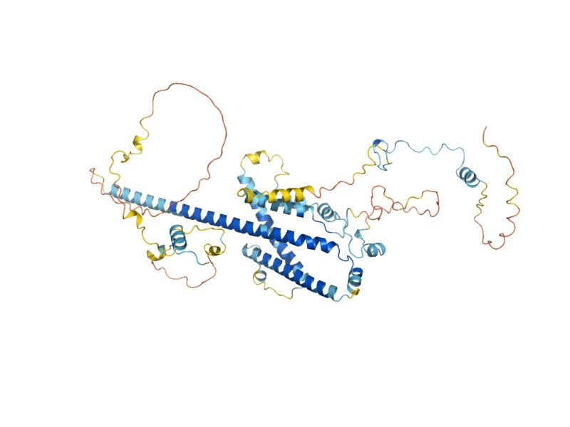 AlphaFold predicted structure of BFR2