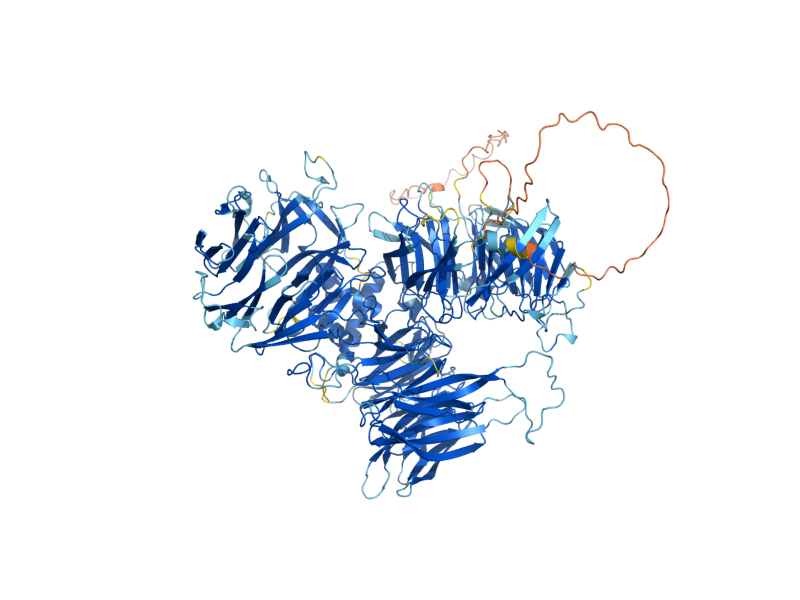 AlphaFold predicted structure of CFT1