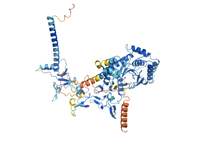 AlphaFold predicted structure of RAD34
