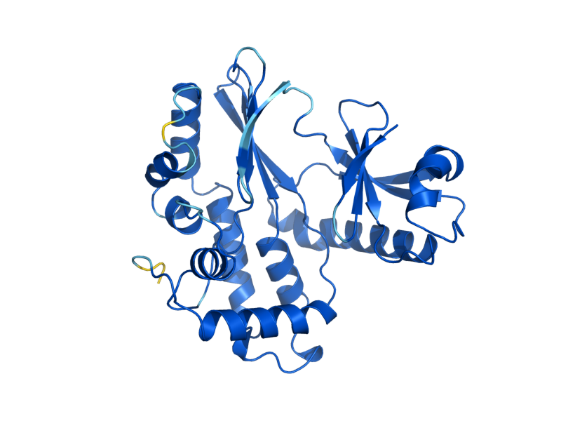 AlphaFold predicted structure of IPK1