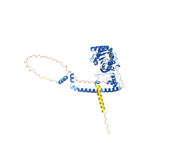 AlphaFold predicted structure of OMS1