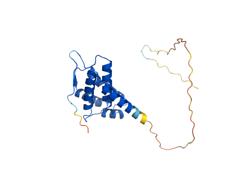 AlphaFold predicted structure of TSR2