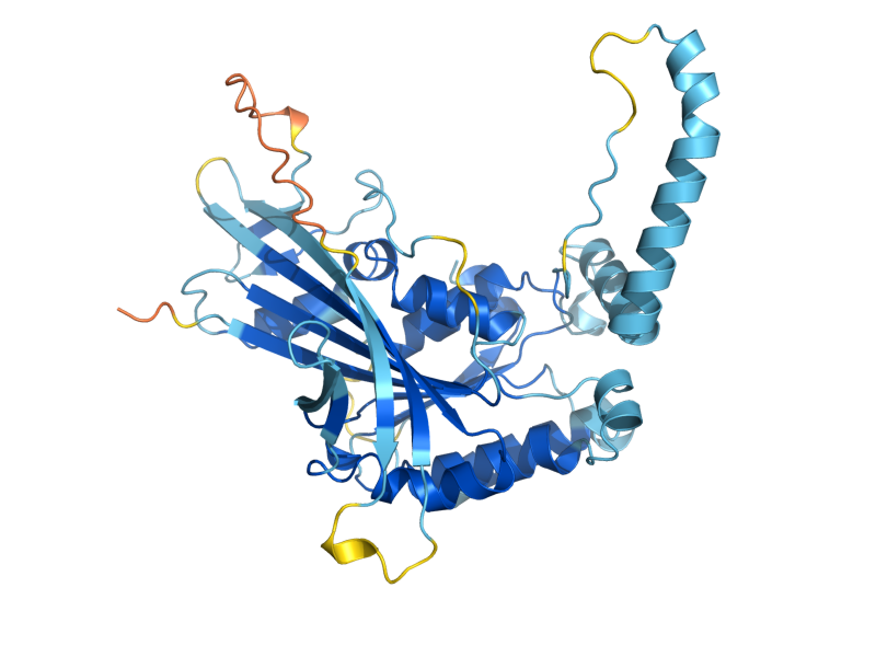 AlphaFold predicted structure of HIM1