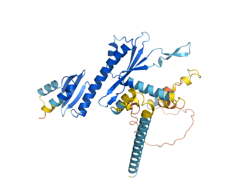 AlphaFold predicted structure of MCM21