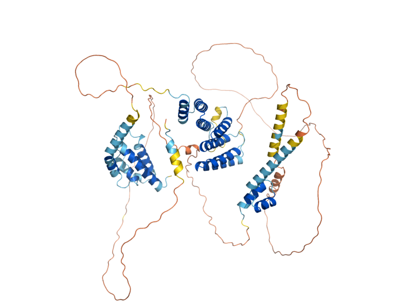 AlphaFold predicted structure of SWA2