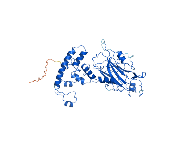 AlphaFold predicted structure of MRPL35