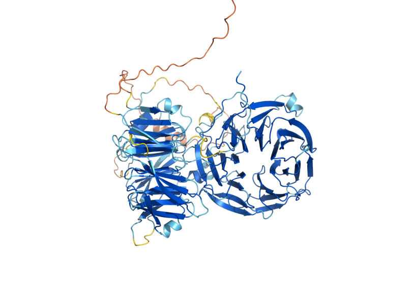 AlphaFold predicted structure of UTP4